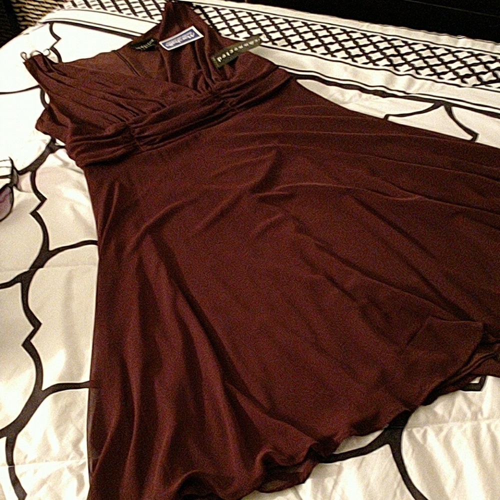Beautiful Brown Sheer Dress 👗